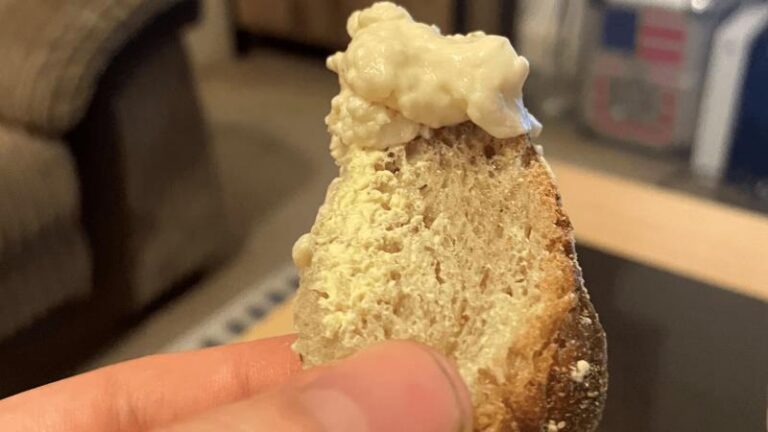 Honestly Tasty Shamembert melted onto a piece of bread