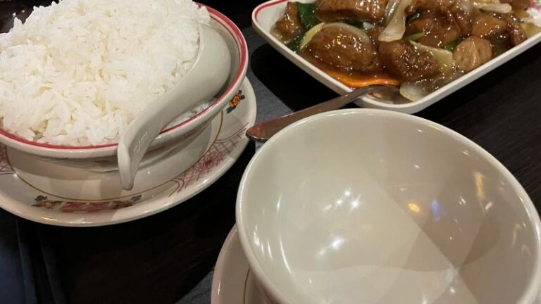 Boiled rice with mock duck dish on the table at Noodle Inn Centro in Sheffield