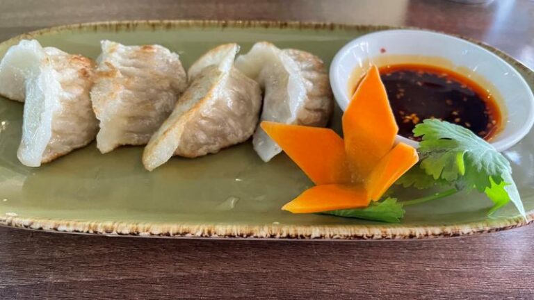 Pan-fried vegan Chick’n dumplings with dipping sauce at Vegan Planet in Camden, London